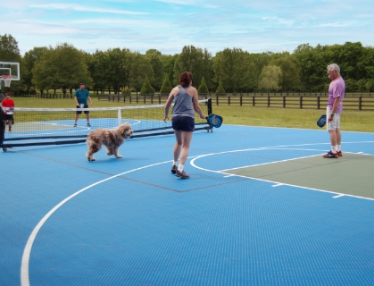 Portable Basketball Court